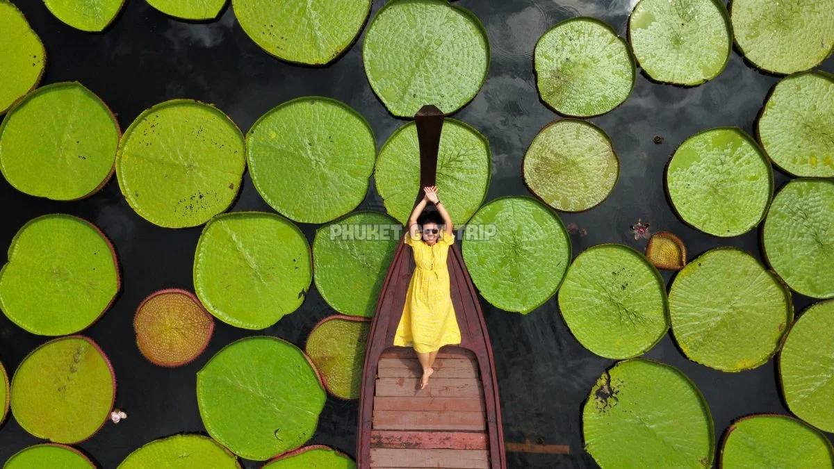 Аватар рассветное приключение